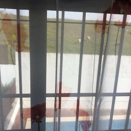 Villa Vivienda Rural El Ejido El Real de la Jara Exterior foto